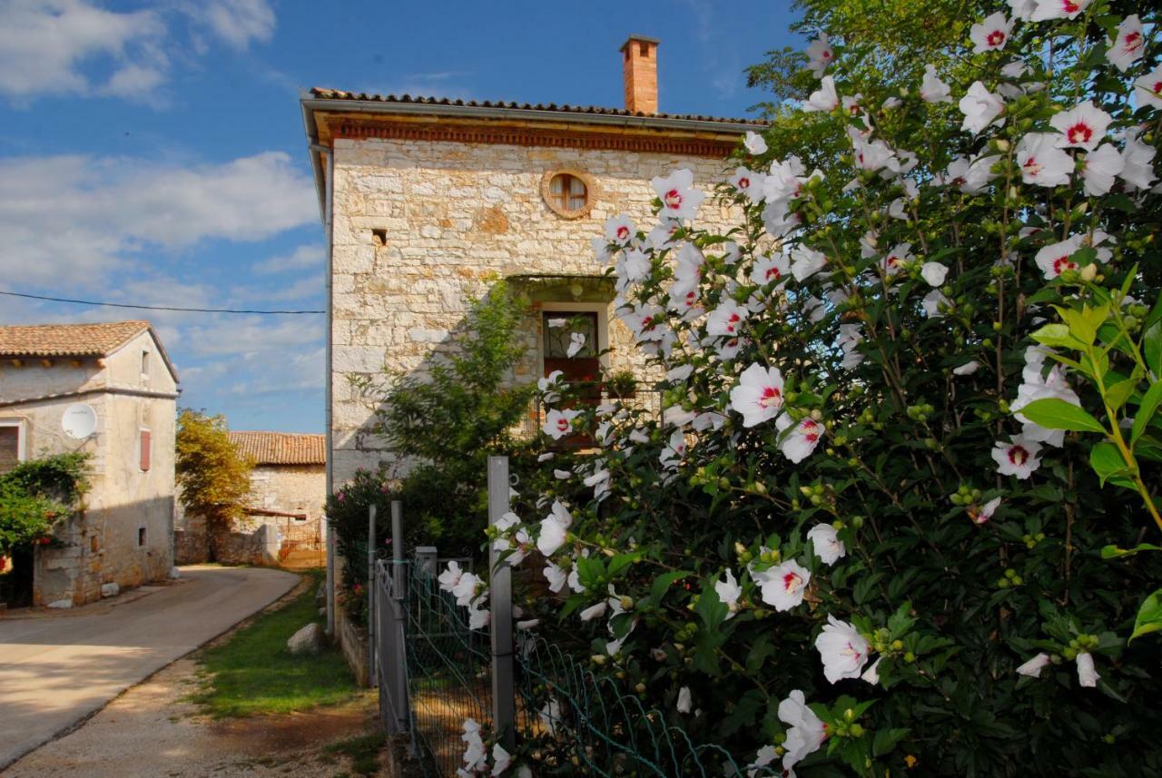 Nature House Jasenka Nova Vas  Luaran gambar